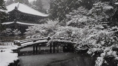 京都風情“鏡頭中的日本”攝影大賽圖集