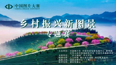 中國(guó)圖片大賽“鄉(xiāng)村振興新圖景”專題賽征稿啟事