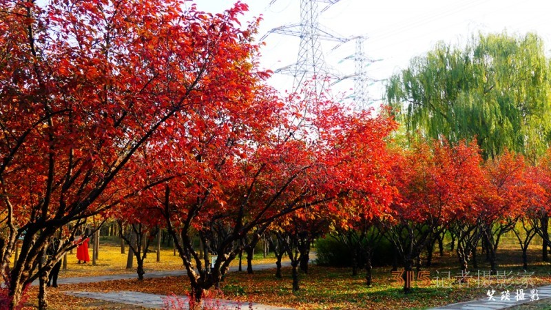 詩(shī)畫攝影：癸卯重陽(yáng)日公園感懷