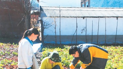 如何幫污染土壤恢復健康？